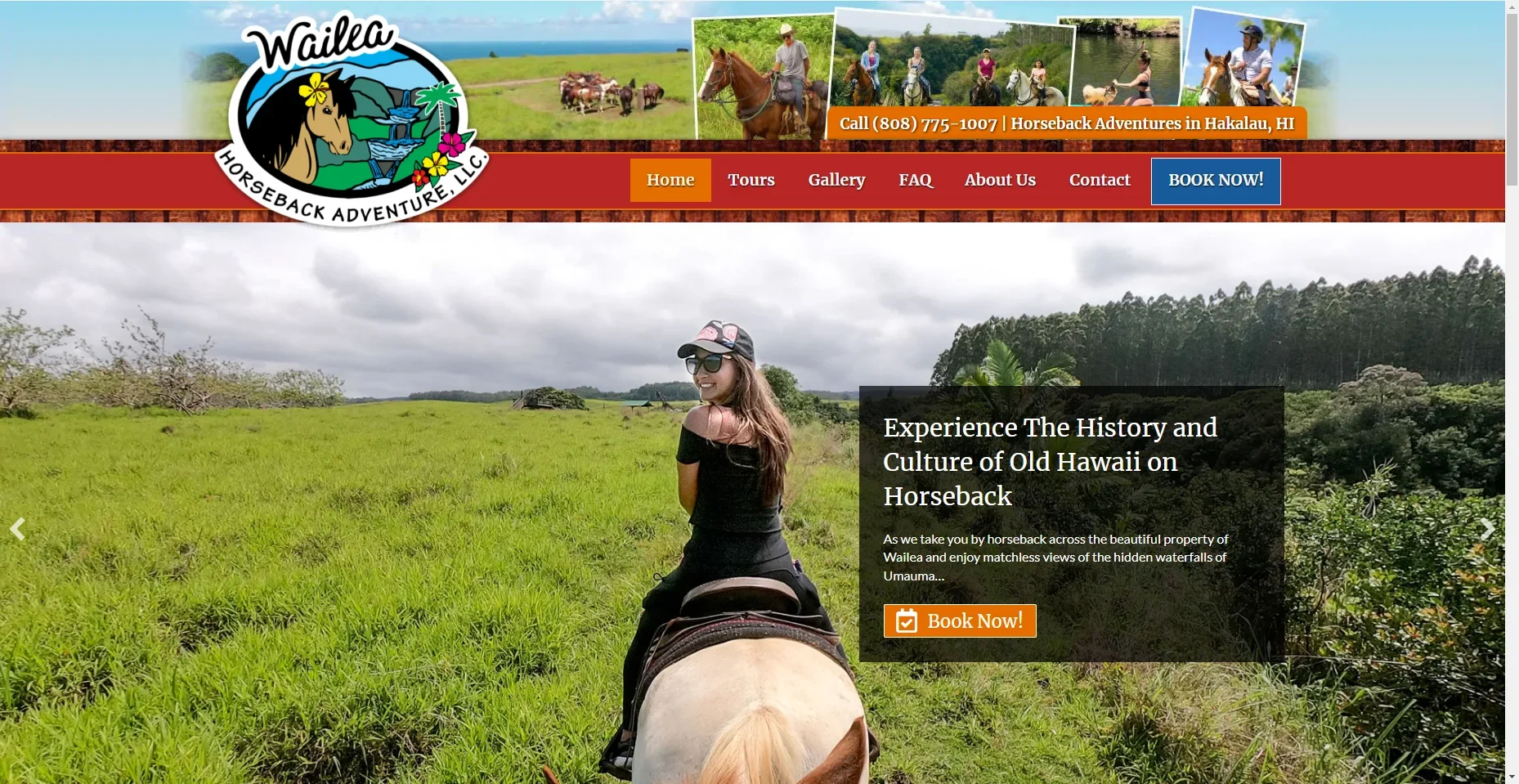 Wailea Horseback Adventures in Hawaiʻi