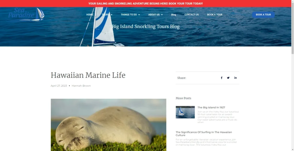 Hawaii Marine Life in Hawaiʻi