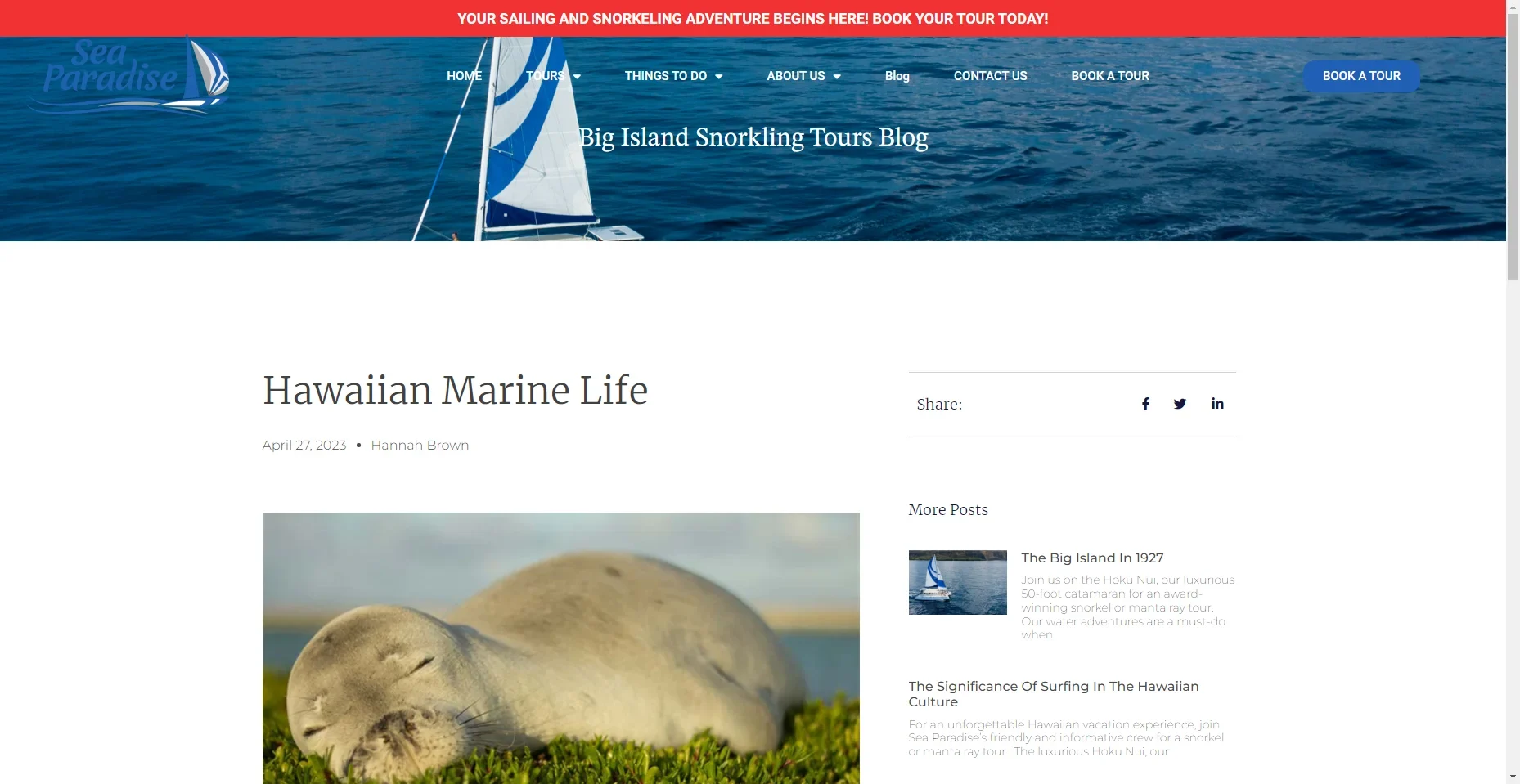 Hawaii Marine Life in Hawaiʻi
