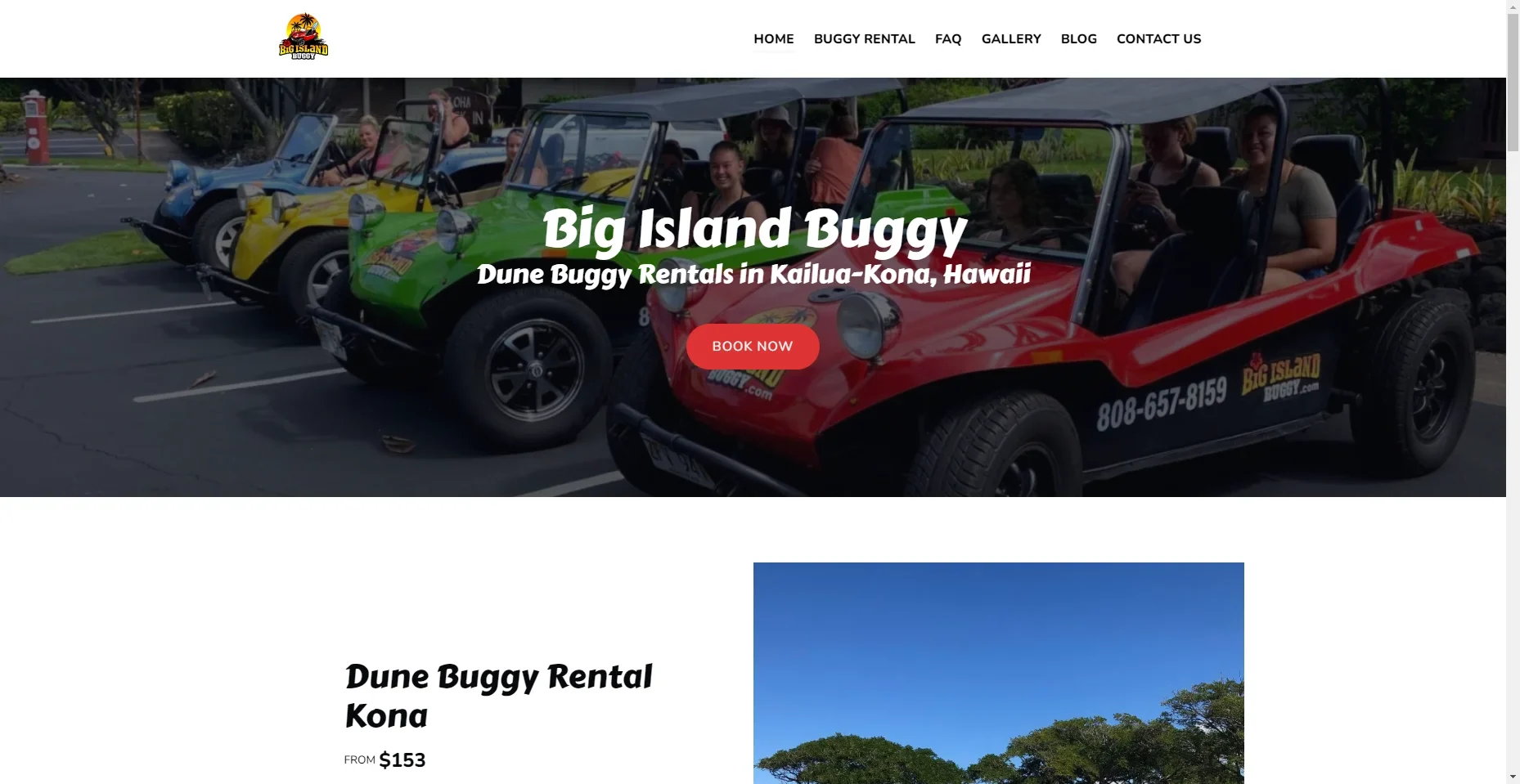 Big Island Buggy in Hawaiʻi