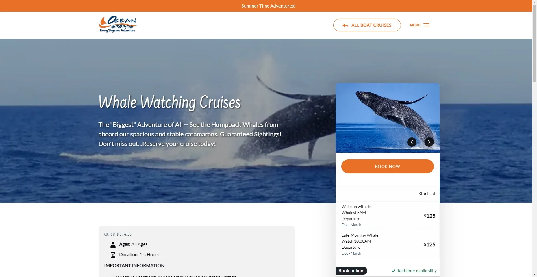 Hawaii Ocean Sports Whale Watching in Hawaiʻi