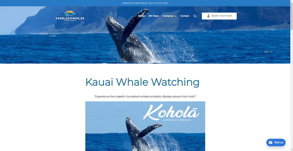 Holo Holo Whale Watching Tours in Hawaiʻi