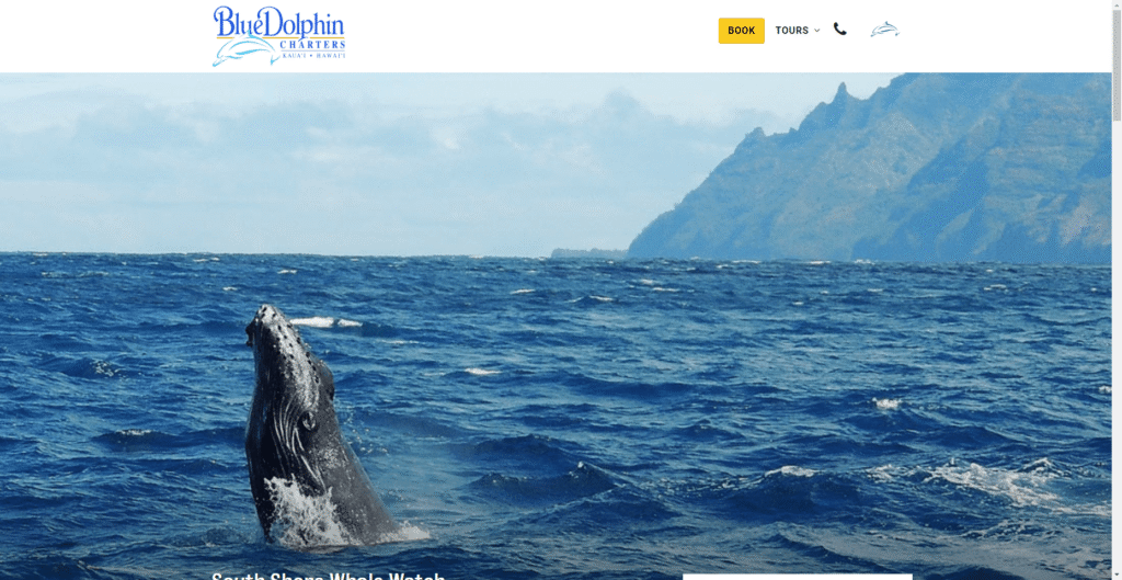 Blue Dolphin Tour Whale Watch in Hawaiʻi