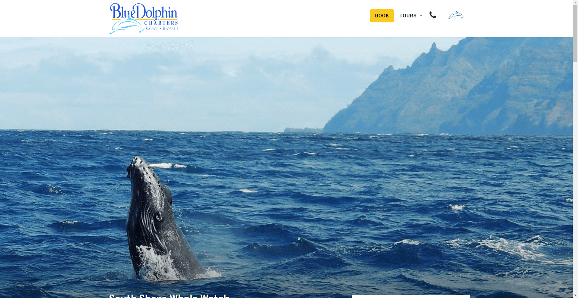 Blue Dolphin Tour Whale Watch in Hawaiʻi