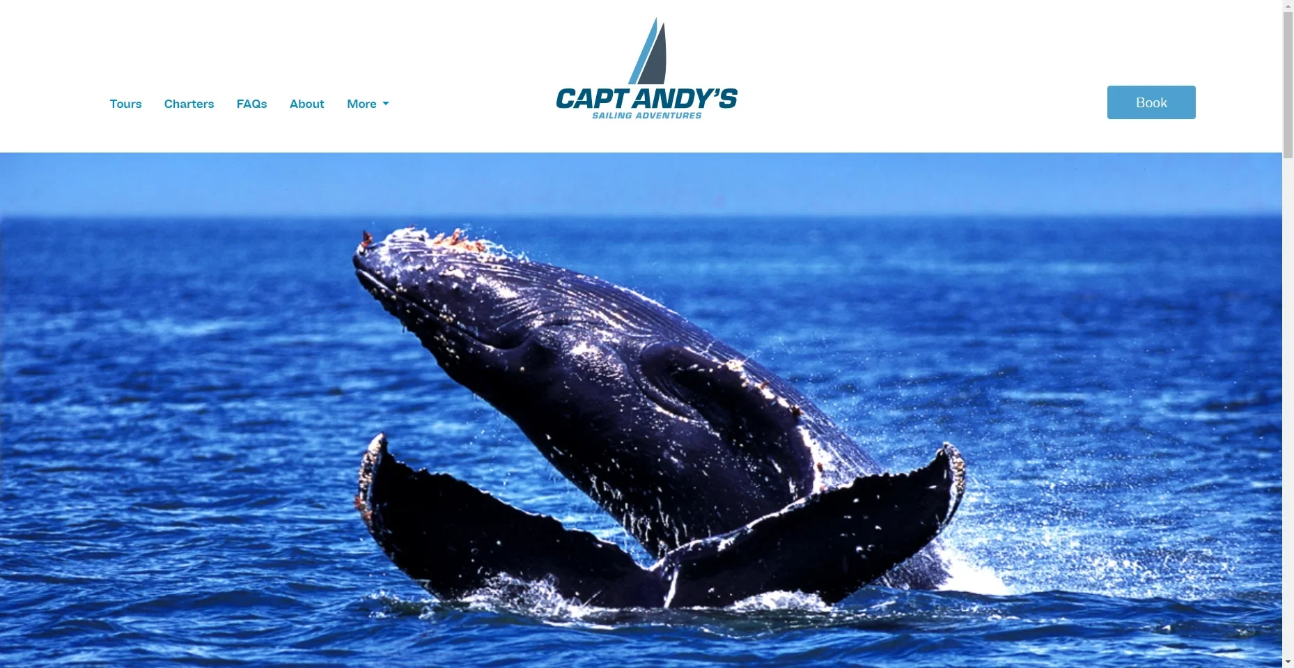 Capt Andy’s Whale Watch in Hawaiʻi