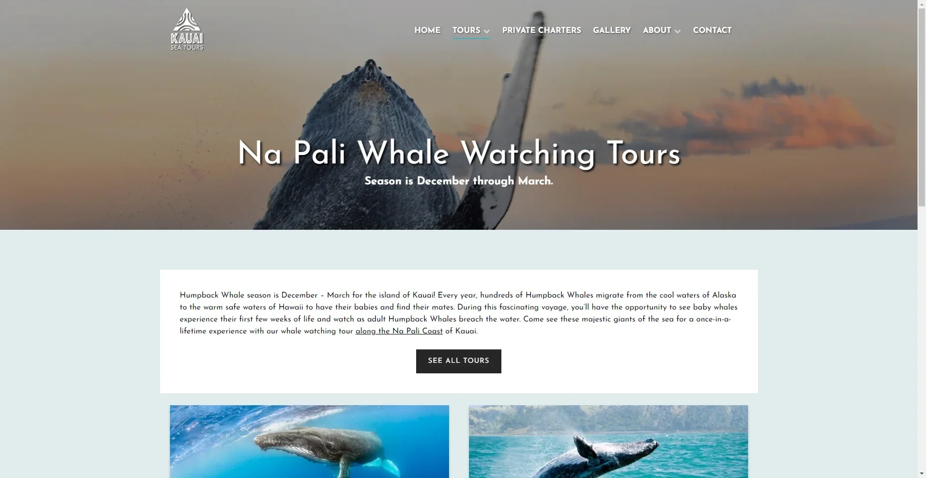 Kauai Sea Tours in Hawaiʻi