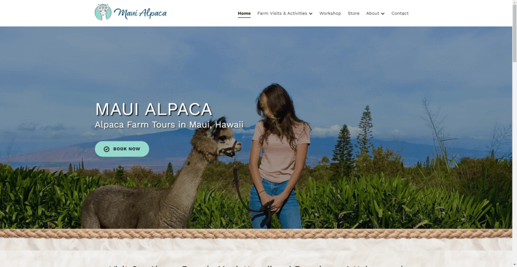 Maui Alpaca in Hawaiʻi