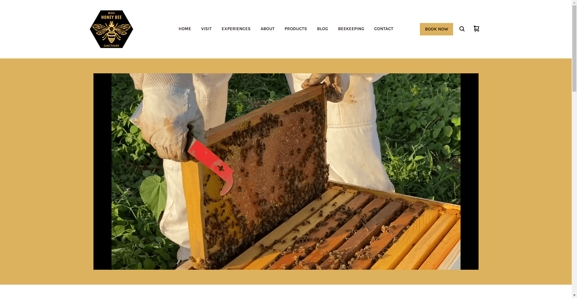Maui Honey Bee Sanctuary in Hawaiʻi