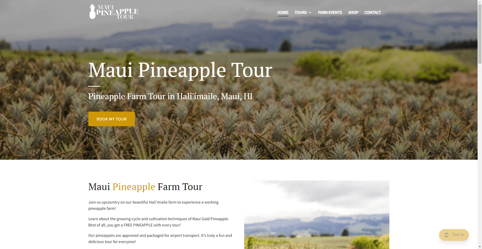 Maui Pineapple Tour in Hawaiʻi