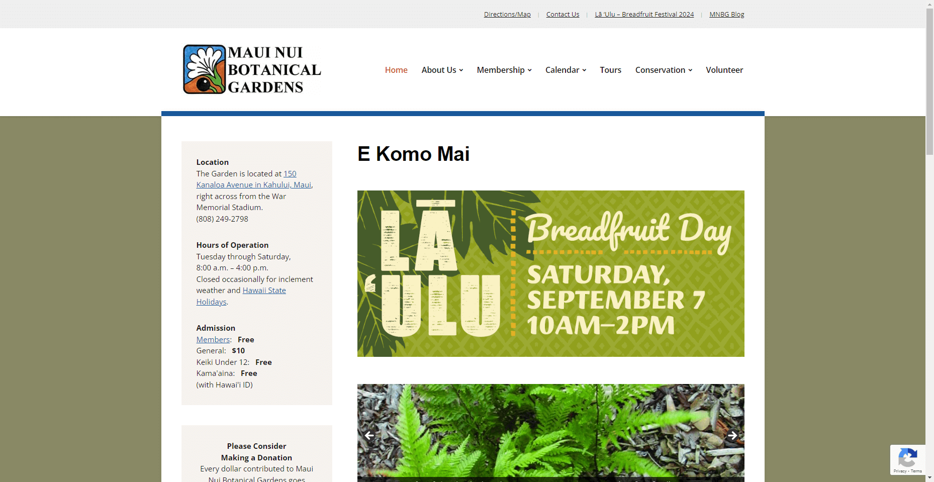Restore Maui project at the Maui Nui Loa Botanical Gardens in Hawaiʻi