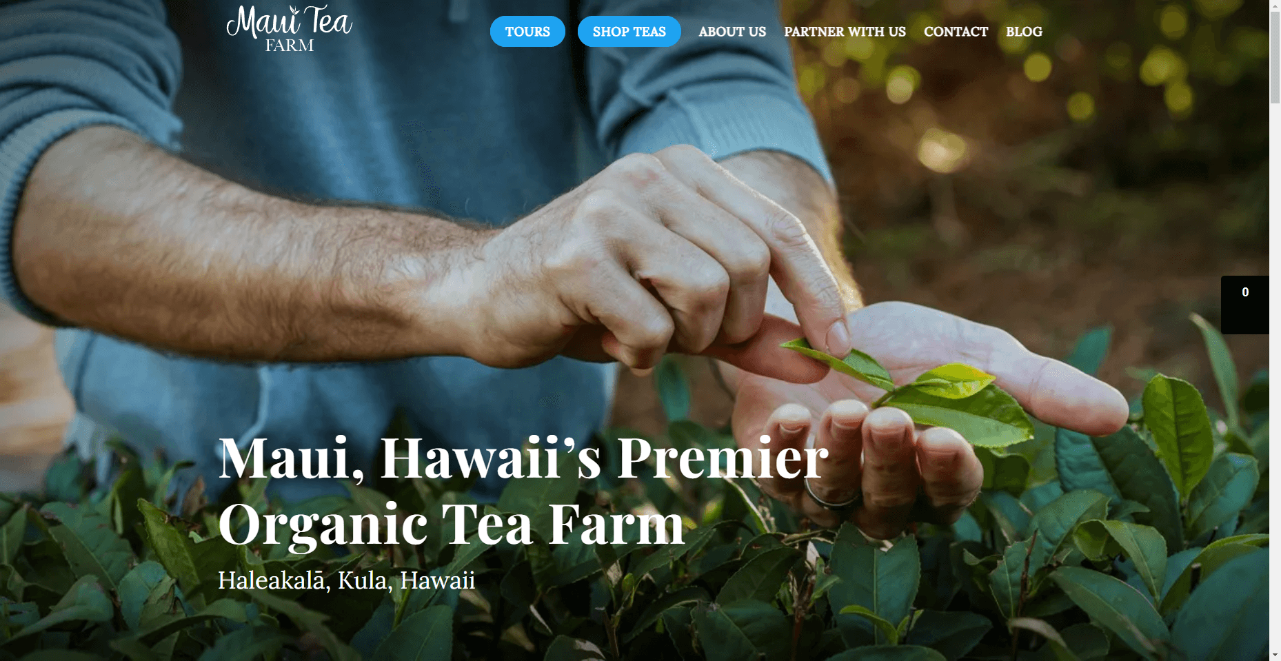 Maui Tea Farm in Hawaiʻi