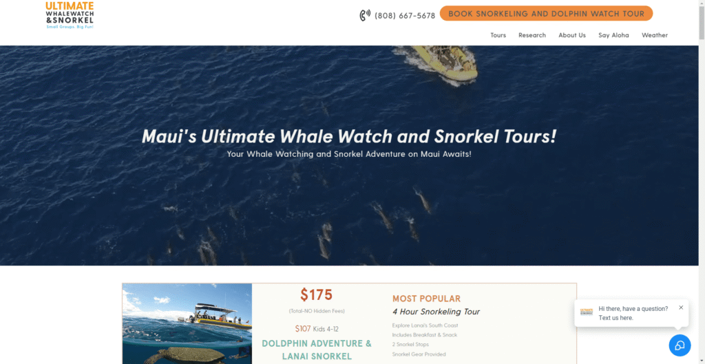 Ultimate Whale Watch and Snorkel in Hawaiʻi