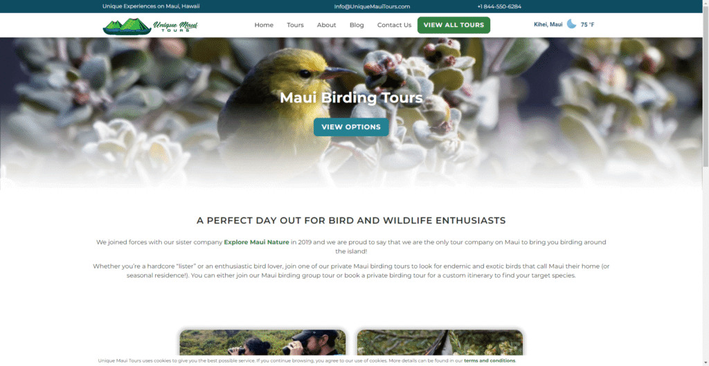 Unique Maui Tours – Birding Hikes and Tours in Hawaiʻi