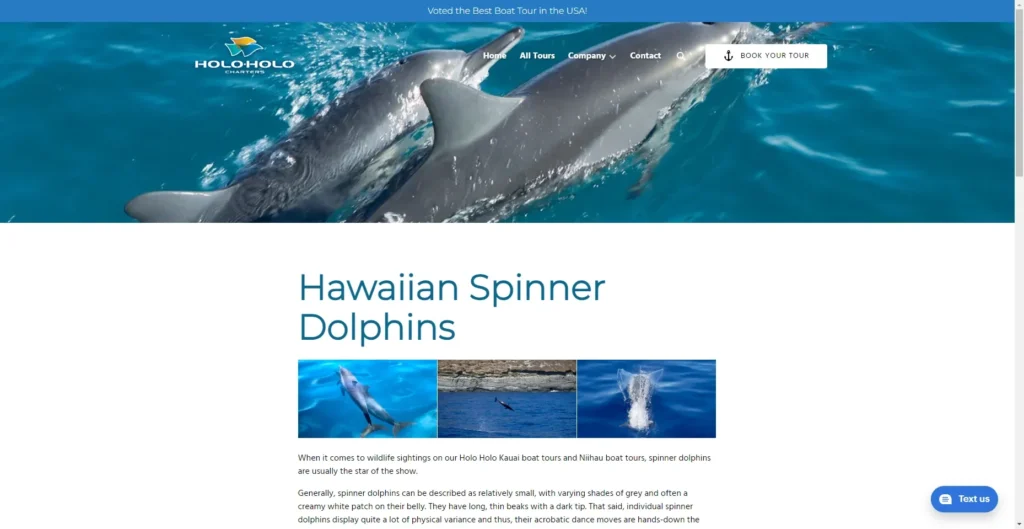 Holo Holo Dolphin Tours in Hawaiʻi