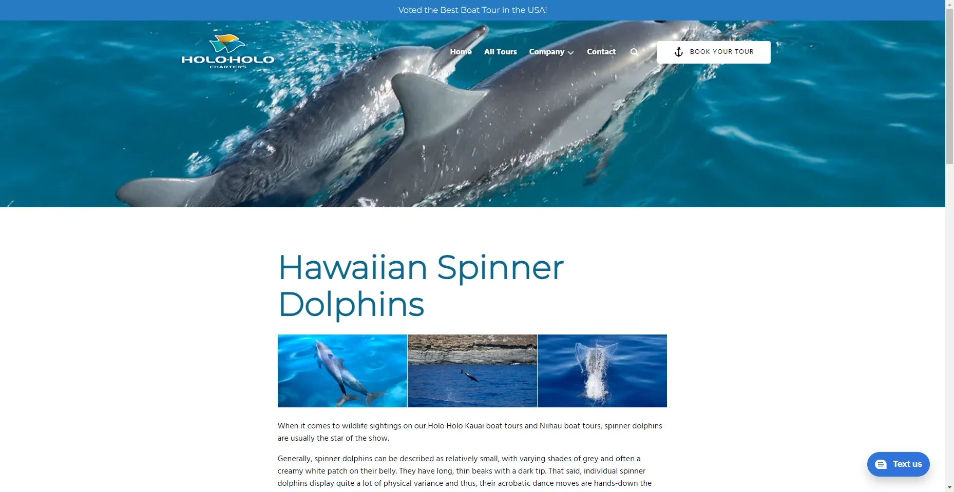 Holo Holo Dolphin Tours in Hawaiʻi