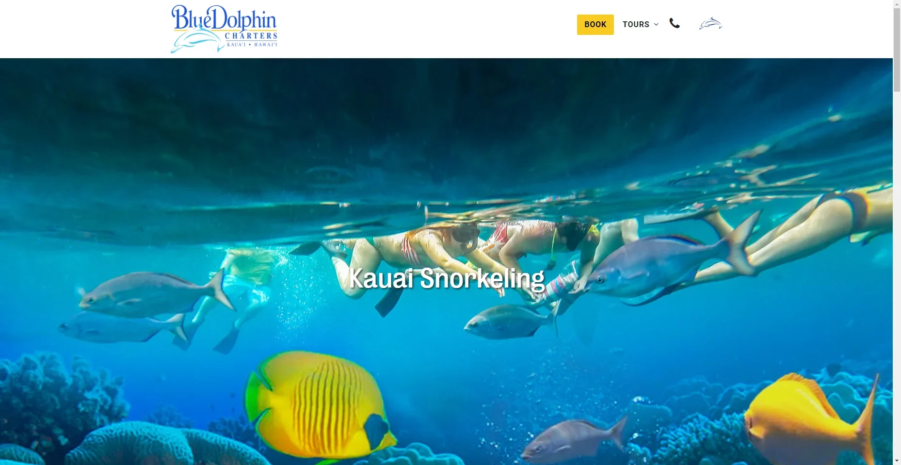 Blue Dolphin Charters in Hawaiʻi