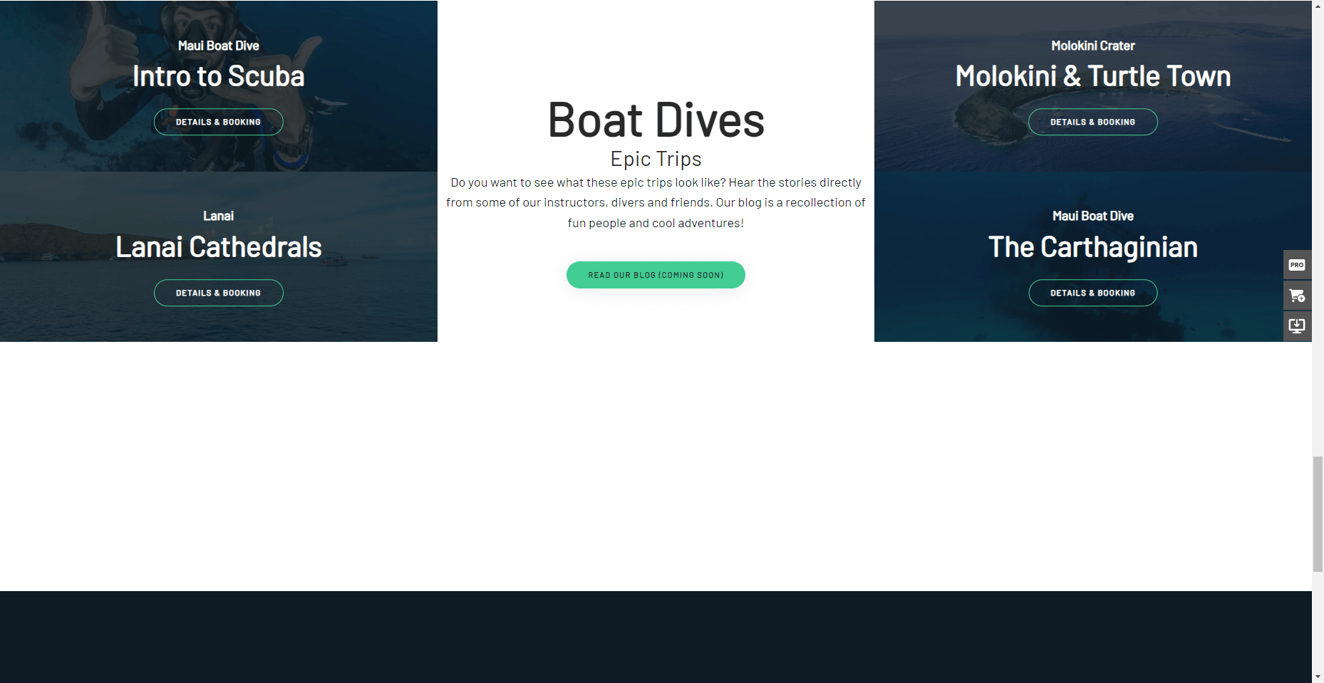 Maui Diving in Hawaiʻi