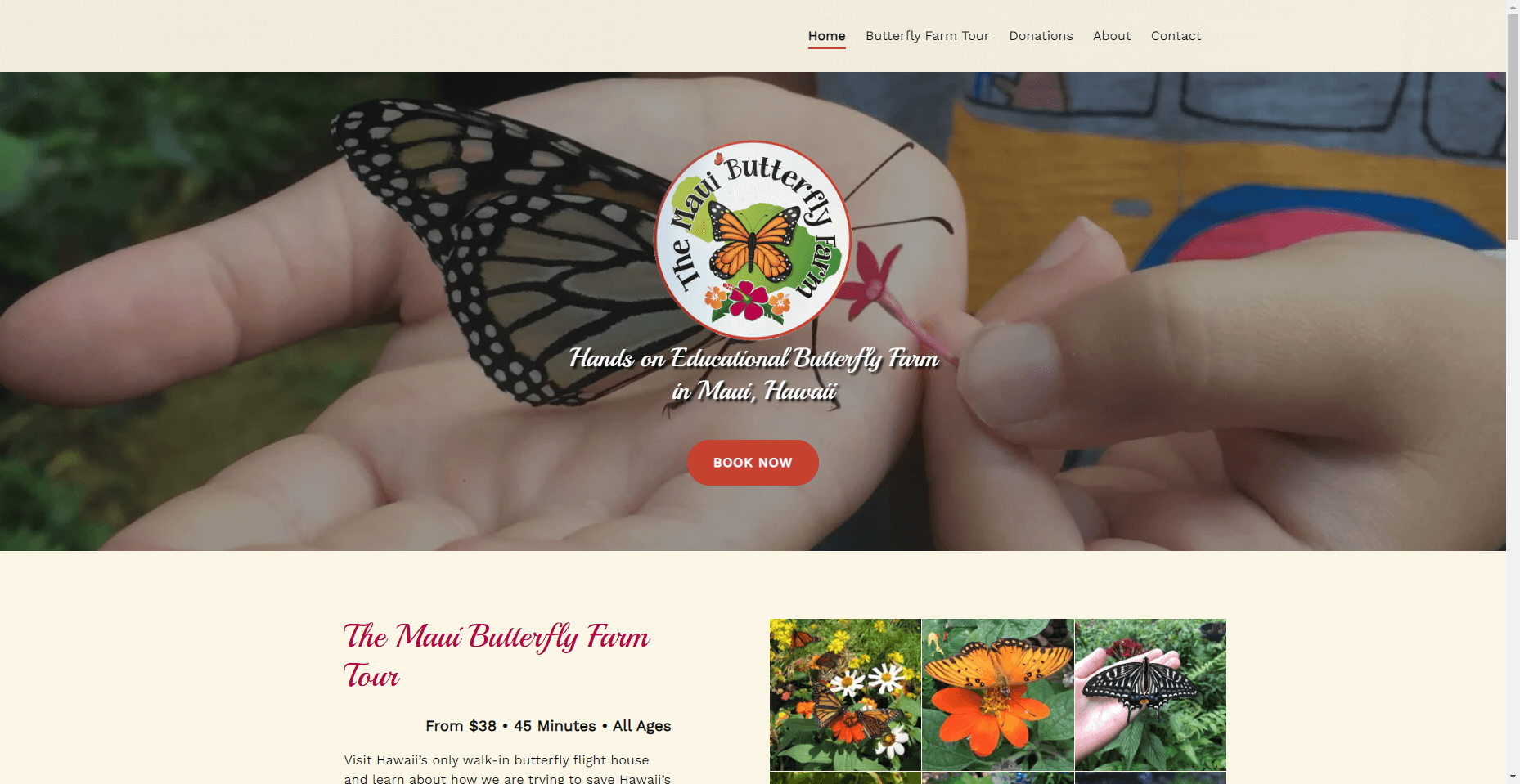 Maui Butterfly Farm in Hawaiʻi
