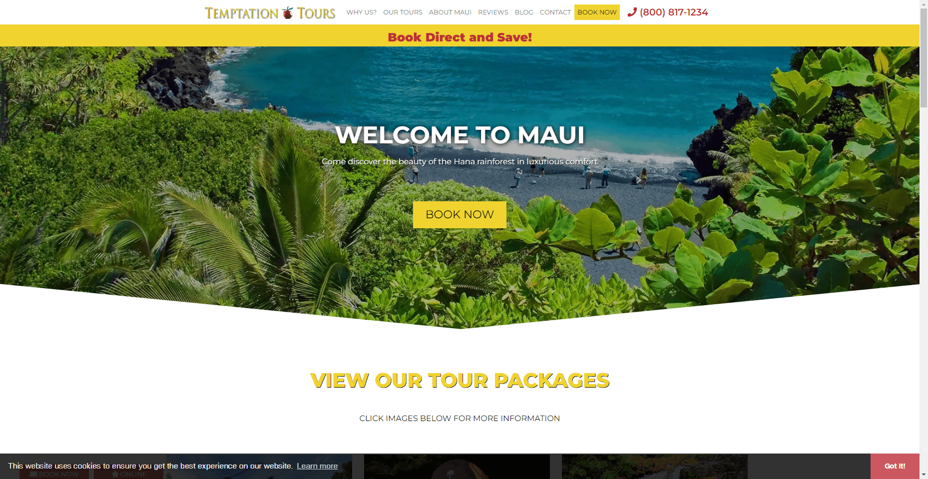 Temptation Tours in Hawaiʻi