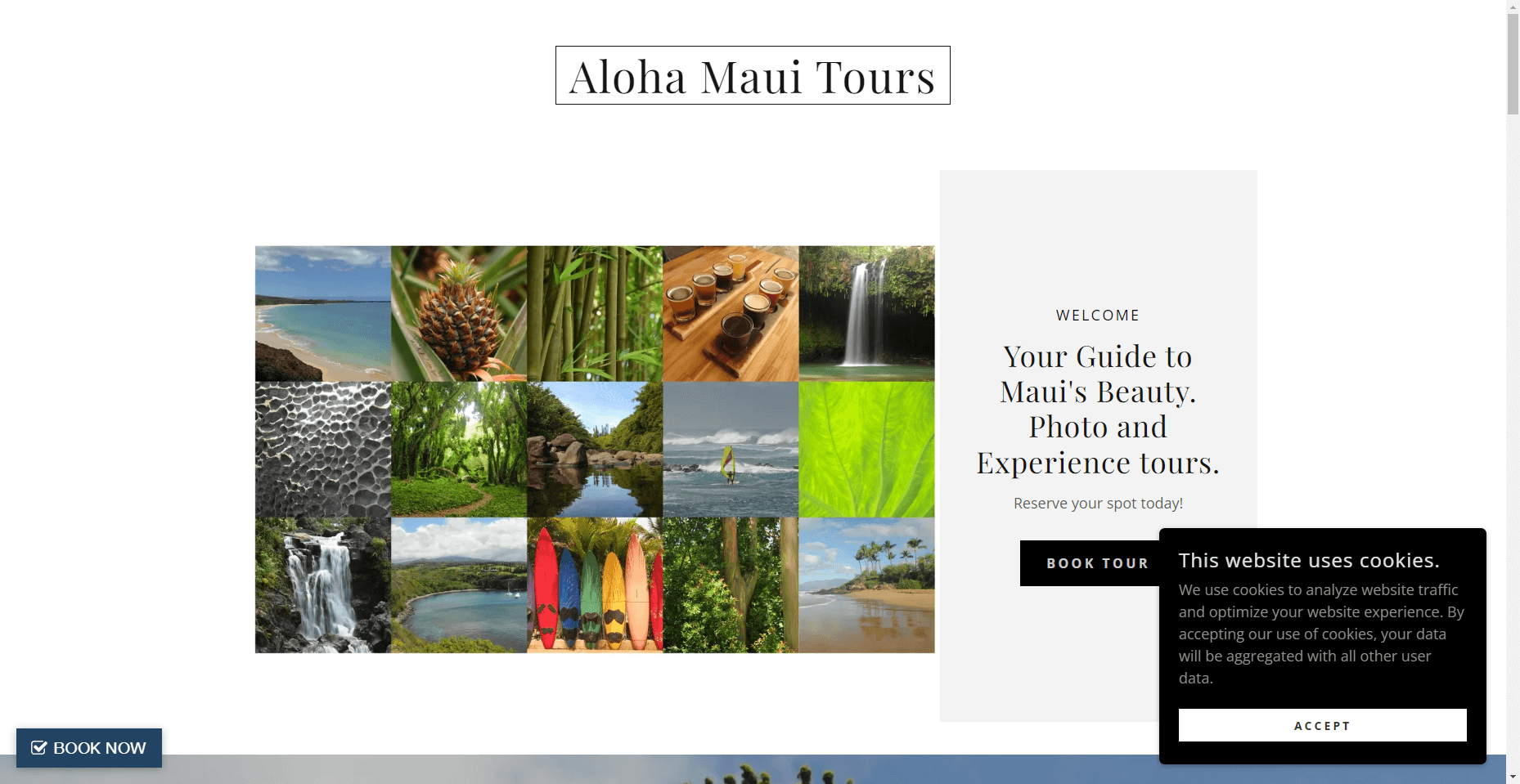 Aloha Maui Tours in Hawaiʻi