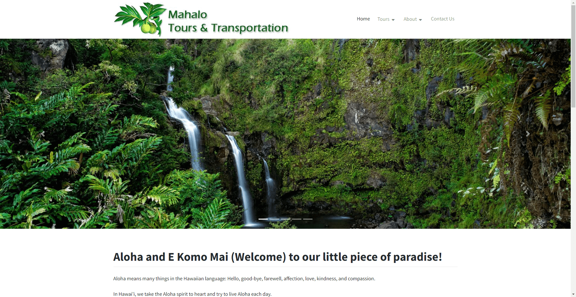 Mahalo Tours in Hawaiʻi