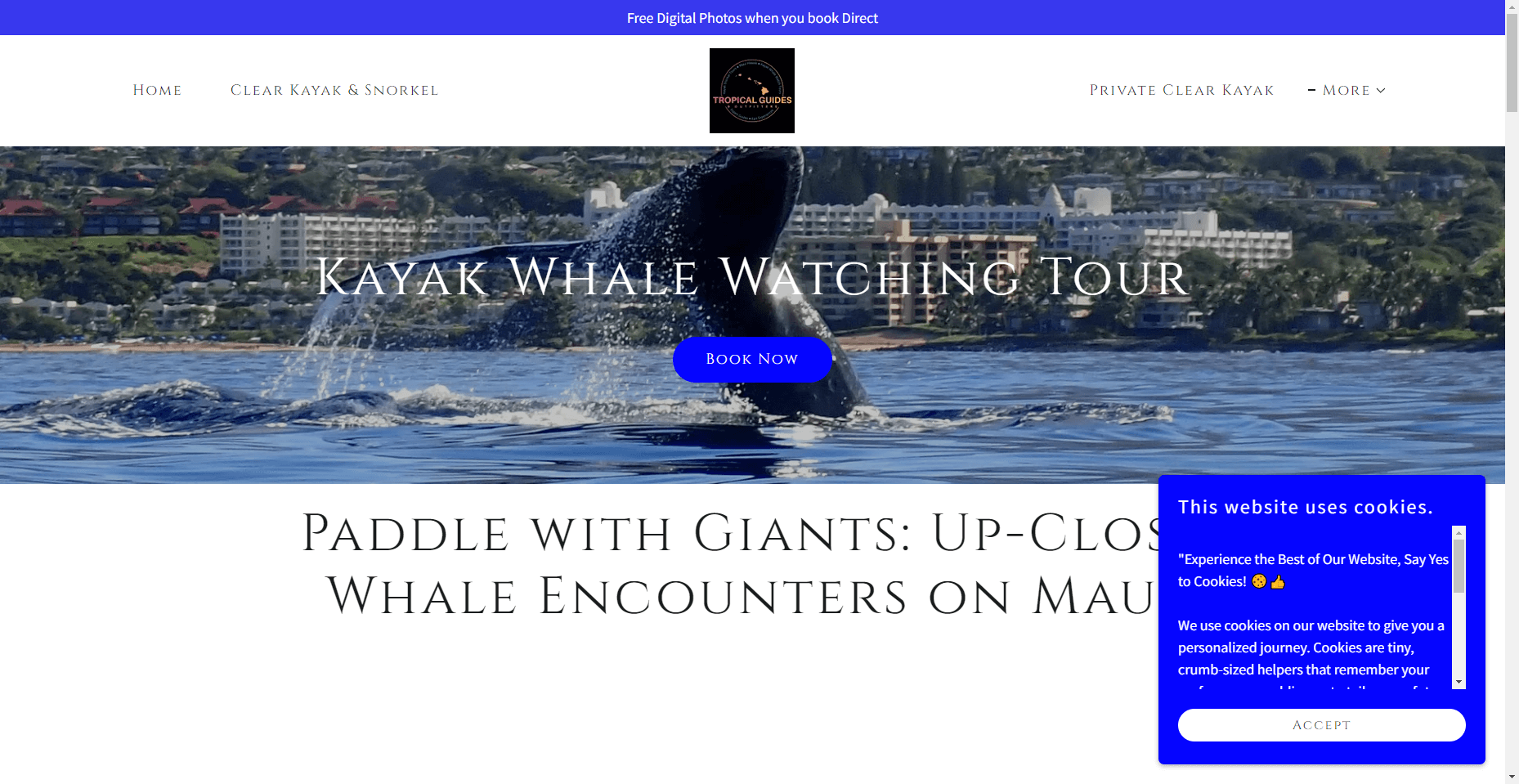 Tropical Guides and Outfitters in Hawaiʻi