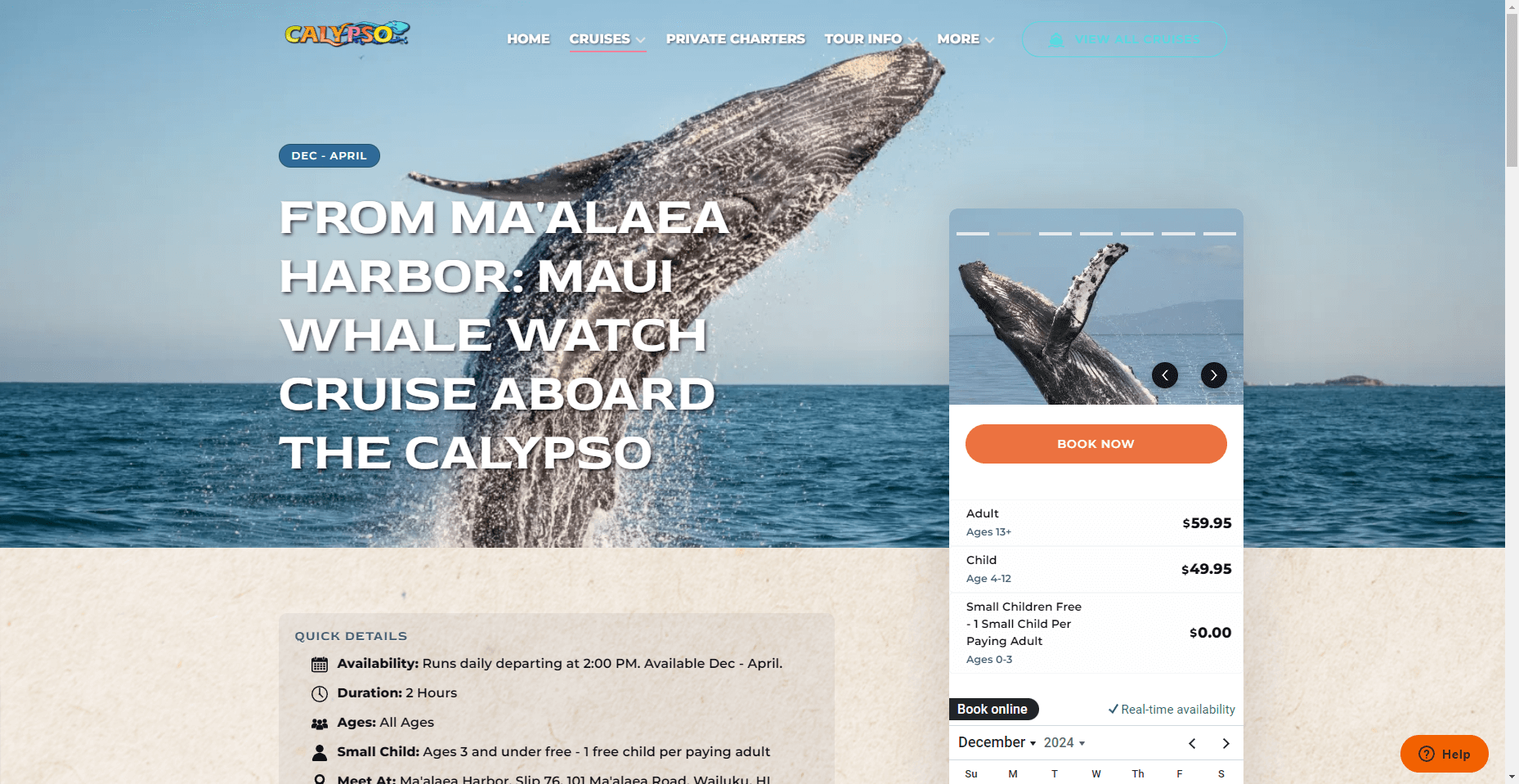 Calypso Whale Watch in Hawaiʻi