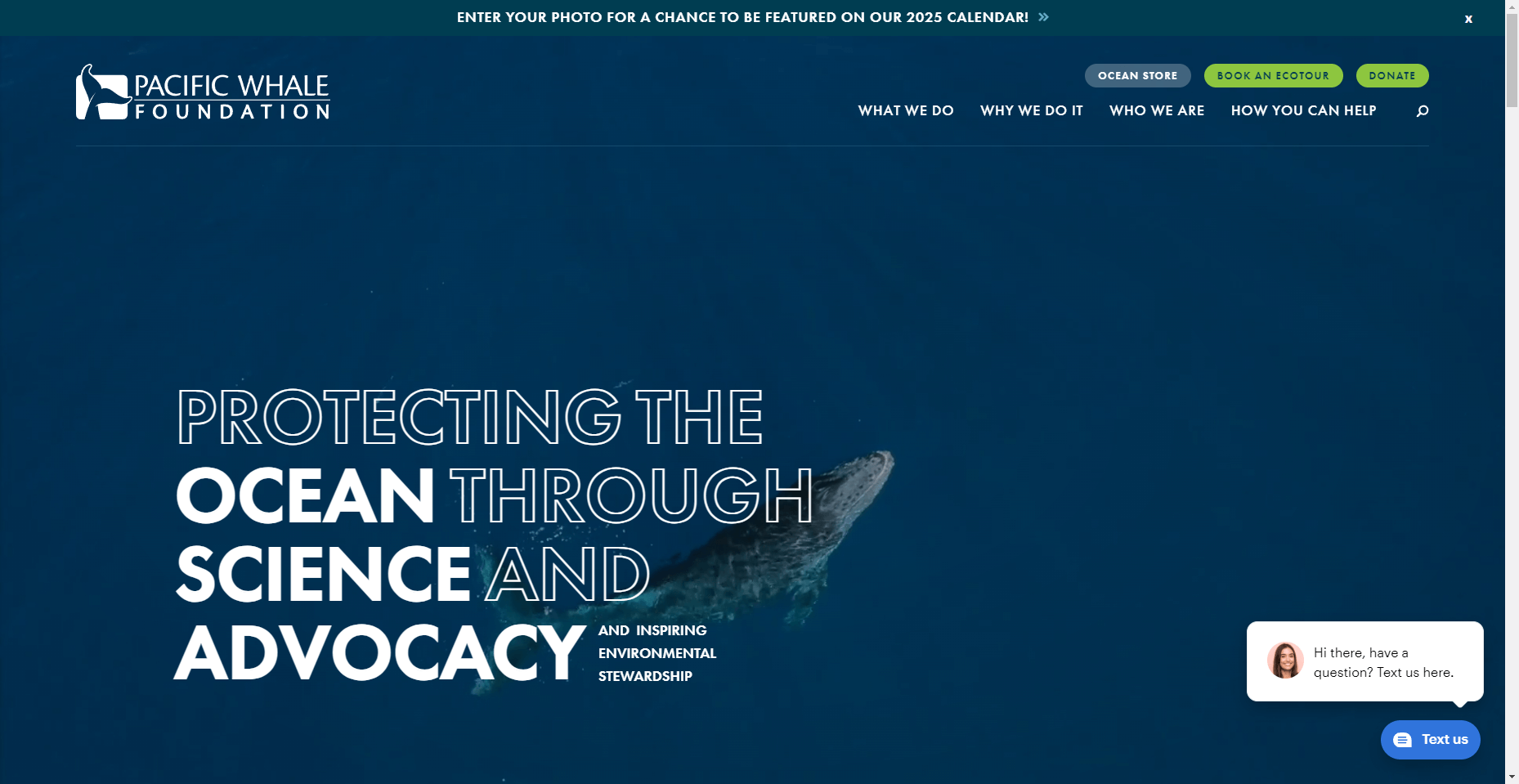 Pacific Whale Foundation in Hawaiʻi