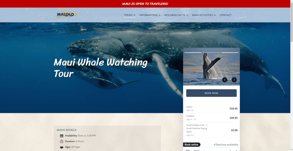 Malolo Whale Watch in Hawaiʻi