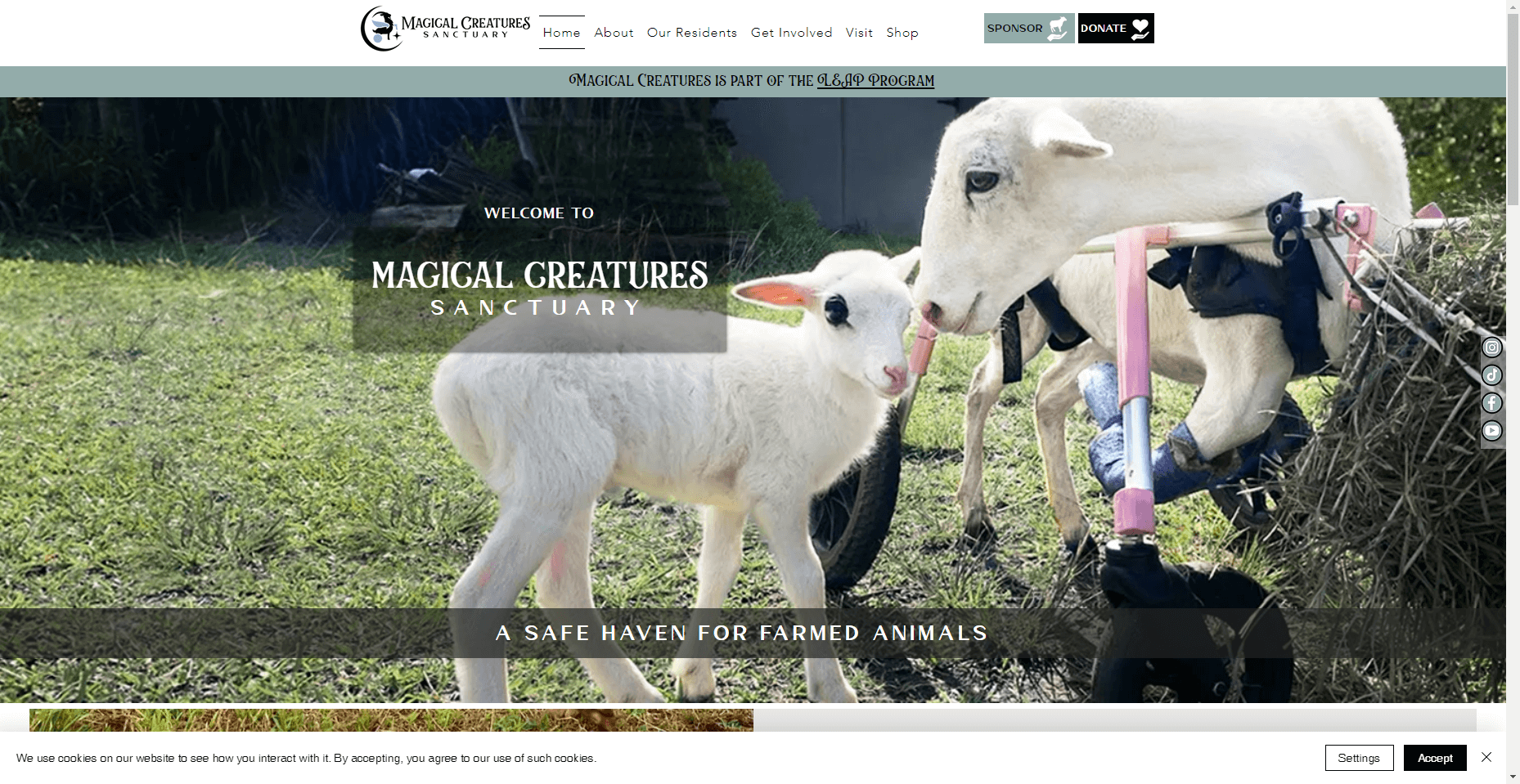 Magical Creatures Sanctuary in Hawaiʻi