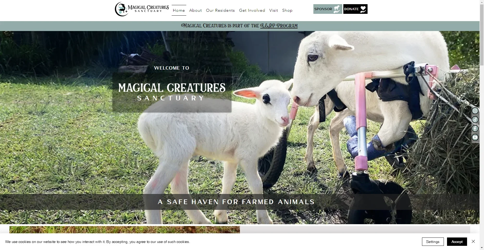 Magical Creatures Sanctuary in Hawaiʻi