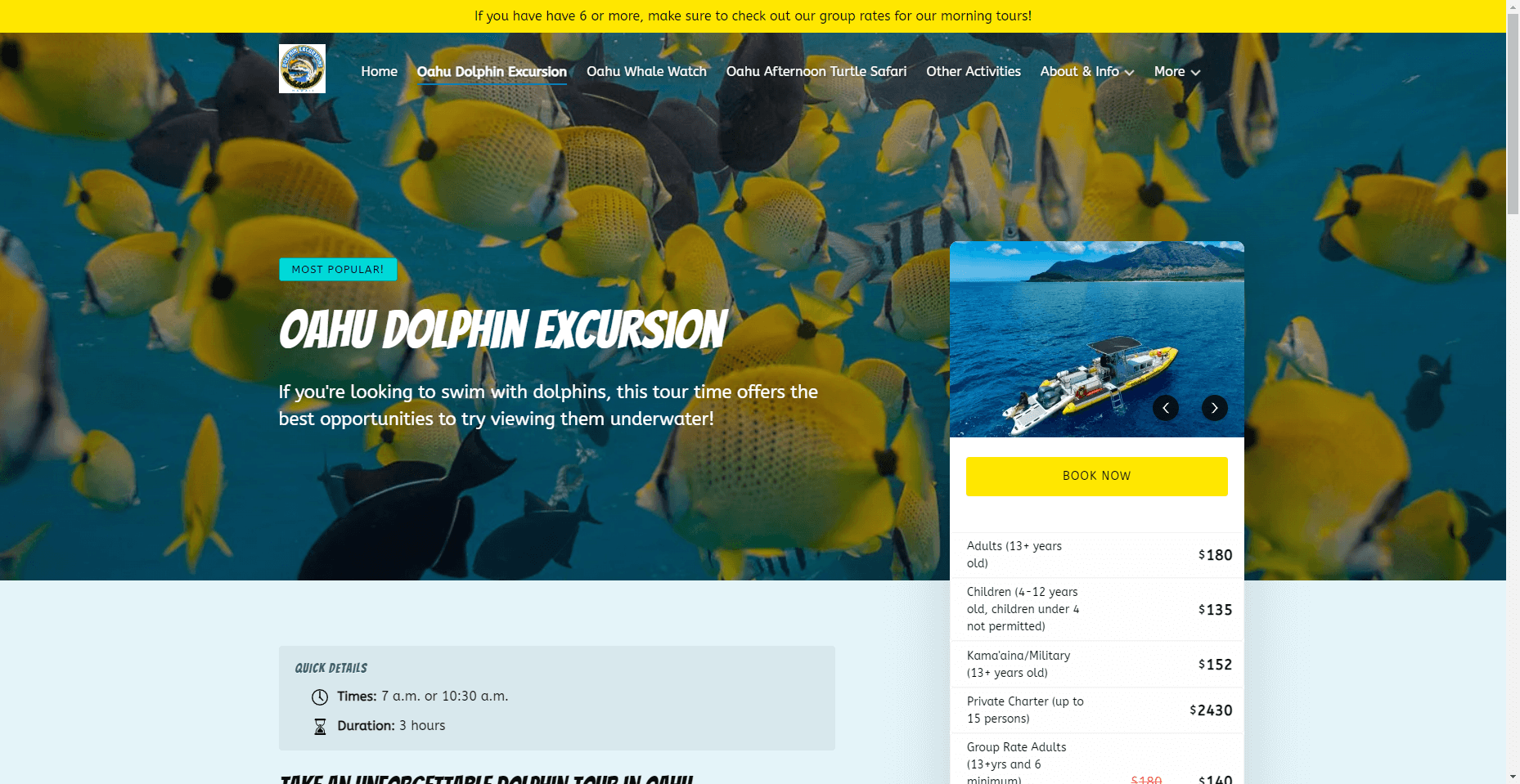 Dolphin Excursions in Hawaiʻi