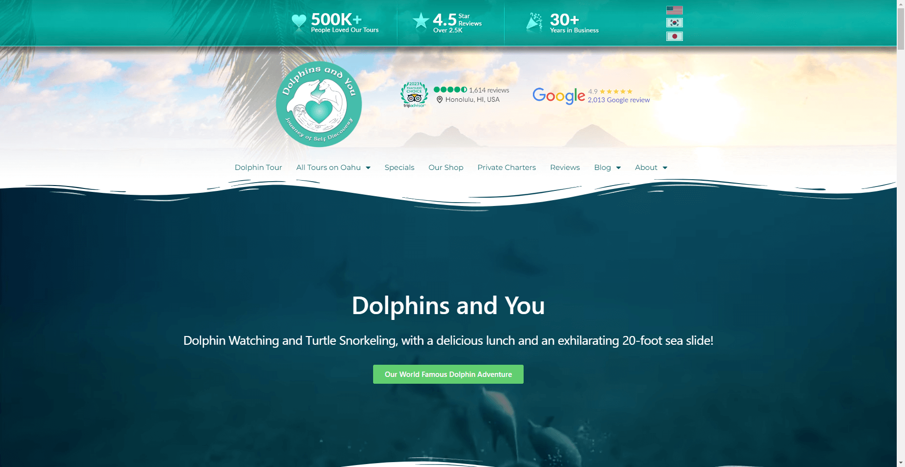 Dolphins and You in Hawaiʻi
