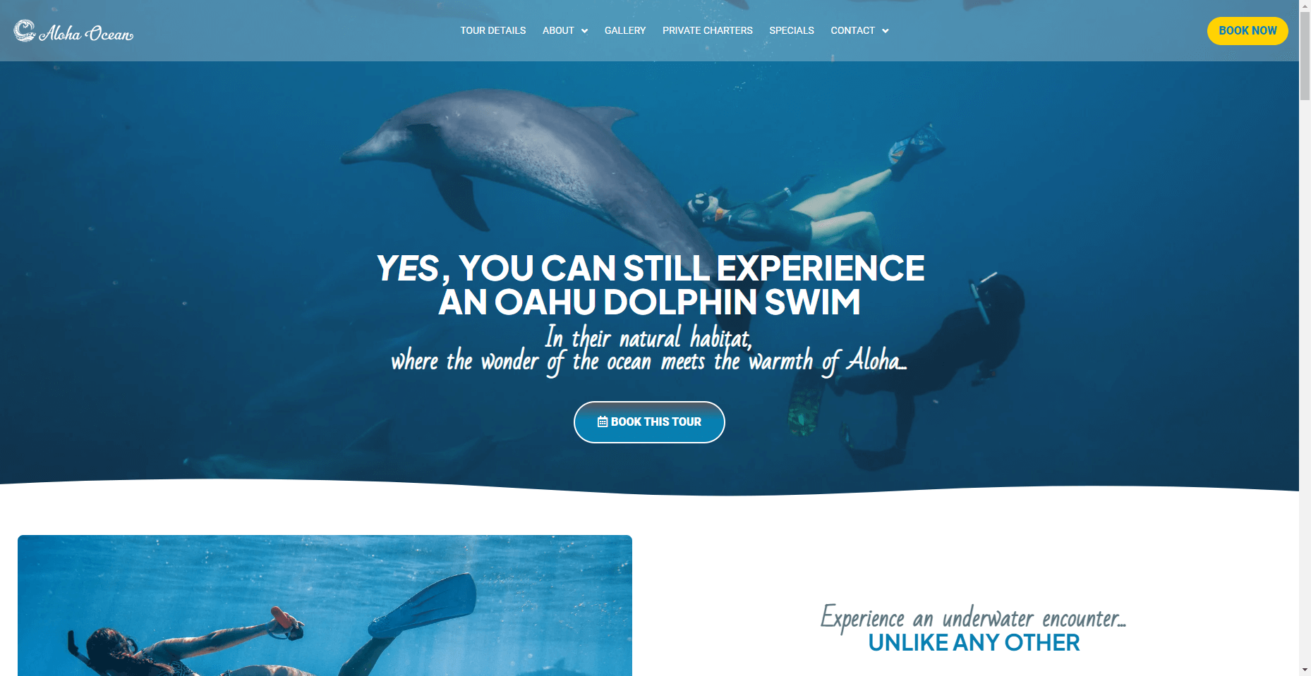 Aloha Oceans in Hawaiʻi