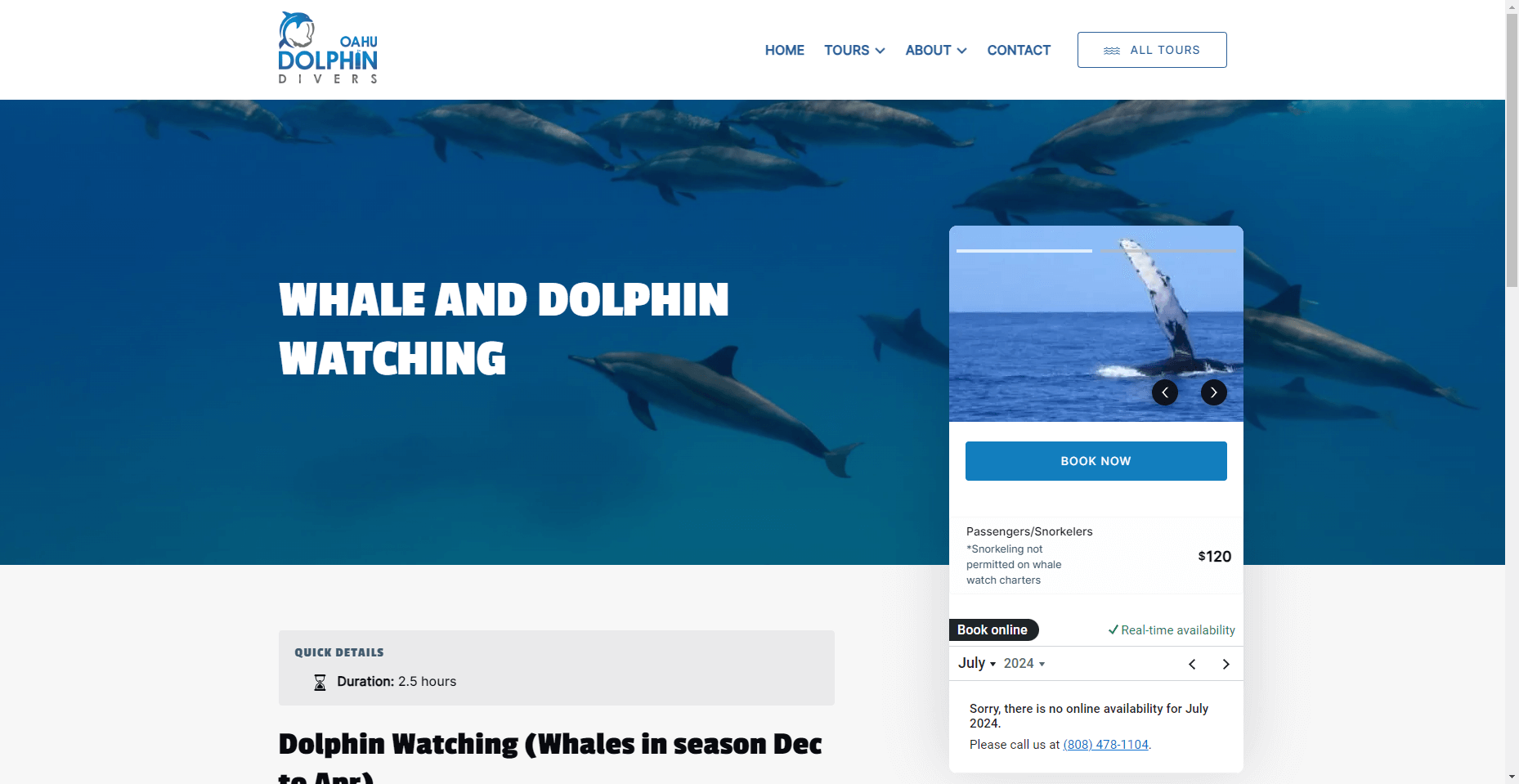 Dolphin Divers in Hawaiʻi