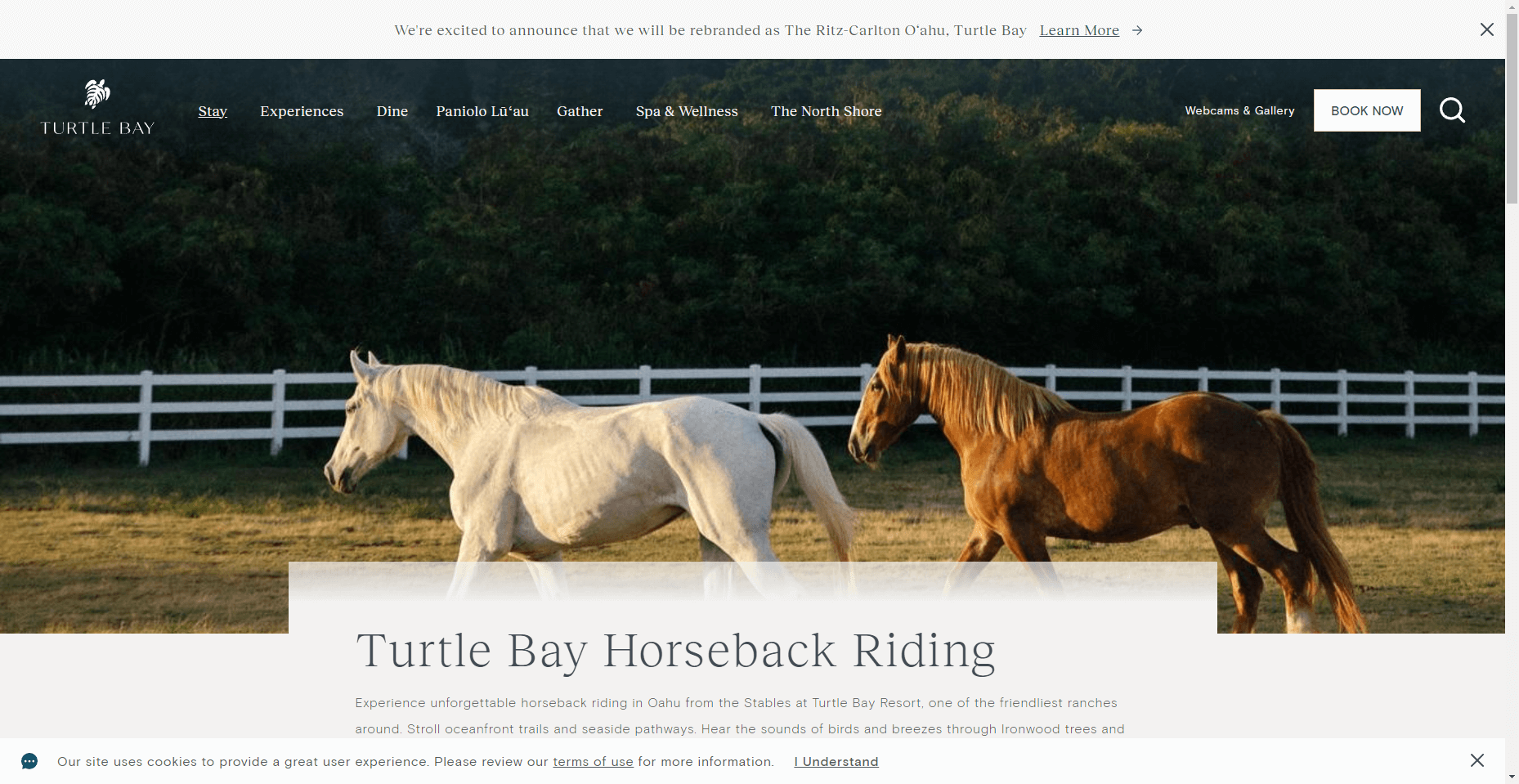 Turtle Bay Horseback Riding in Hawaiʻi