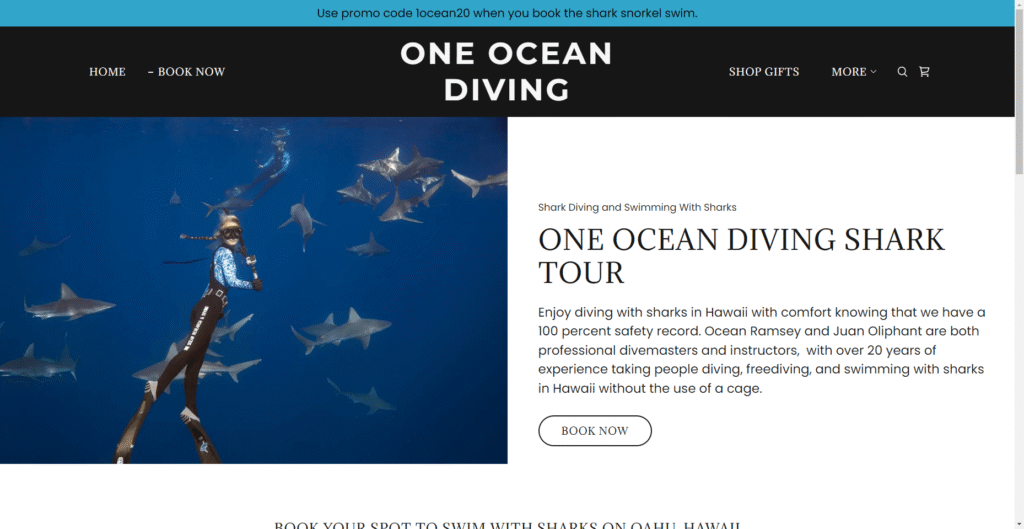 One Ocean Diving in Hawaiʻi