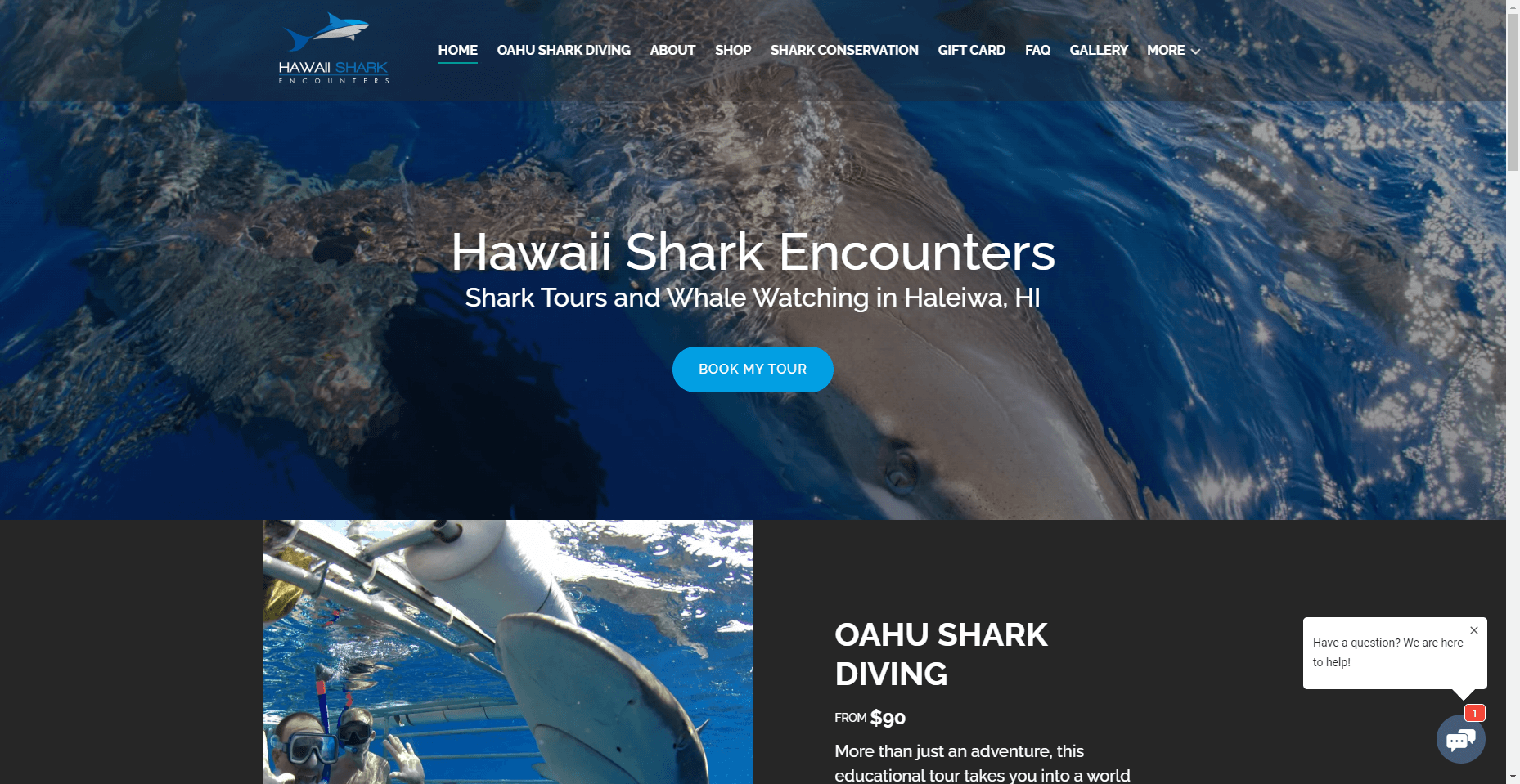 Hawaii Shark Encounters in Hawaiʻi