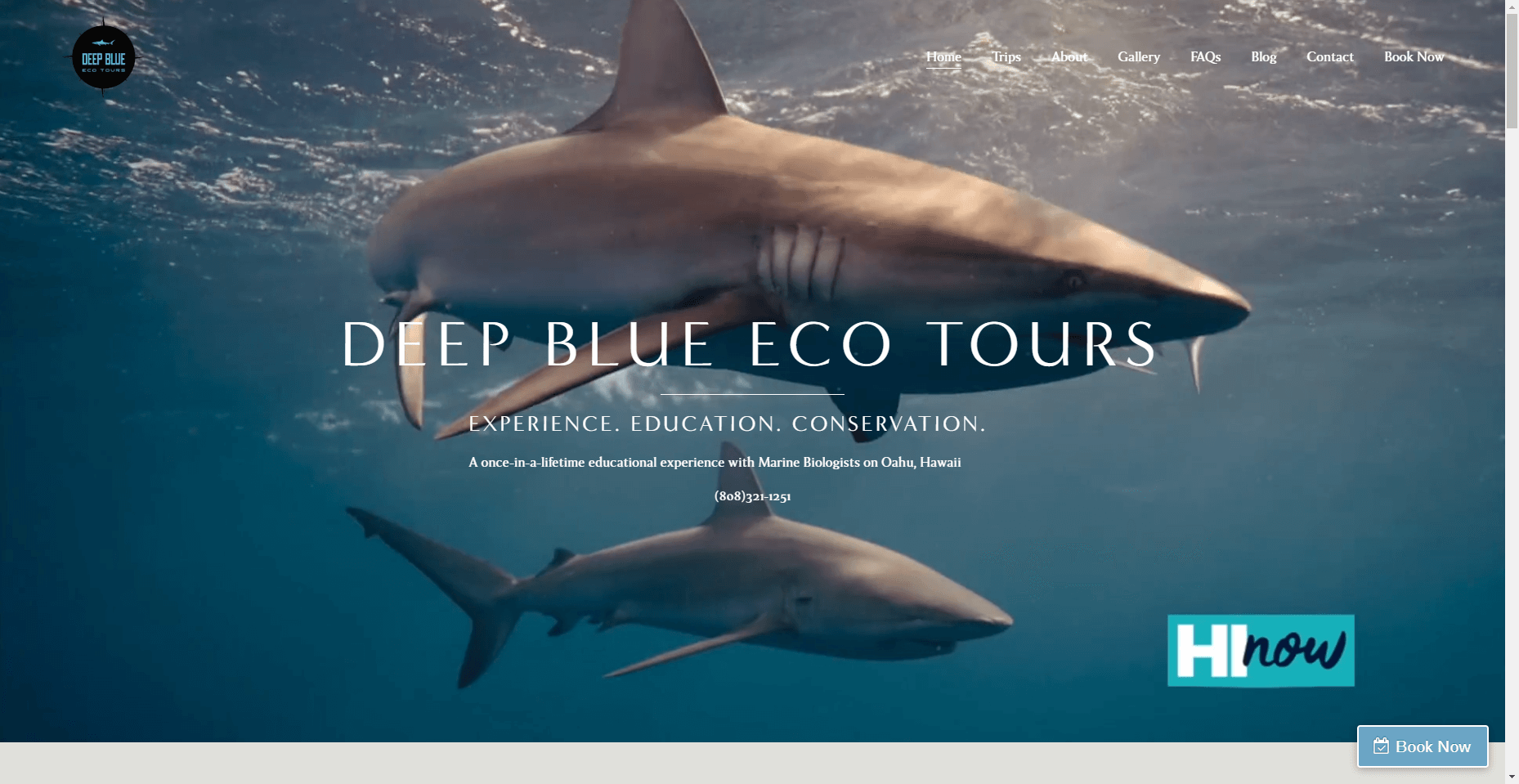 Deep Blue Eco Tours in Hawaiʻi