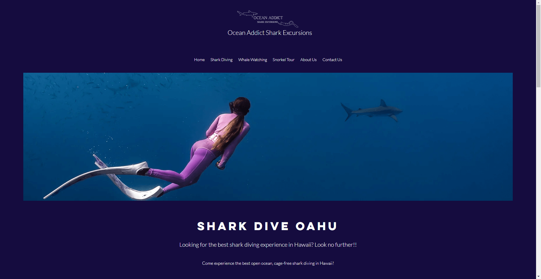 Ocean Addict Shark Excursions in Hawaiʻi