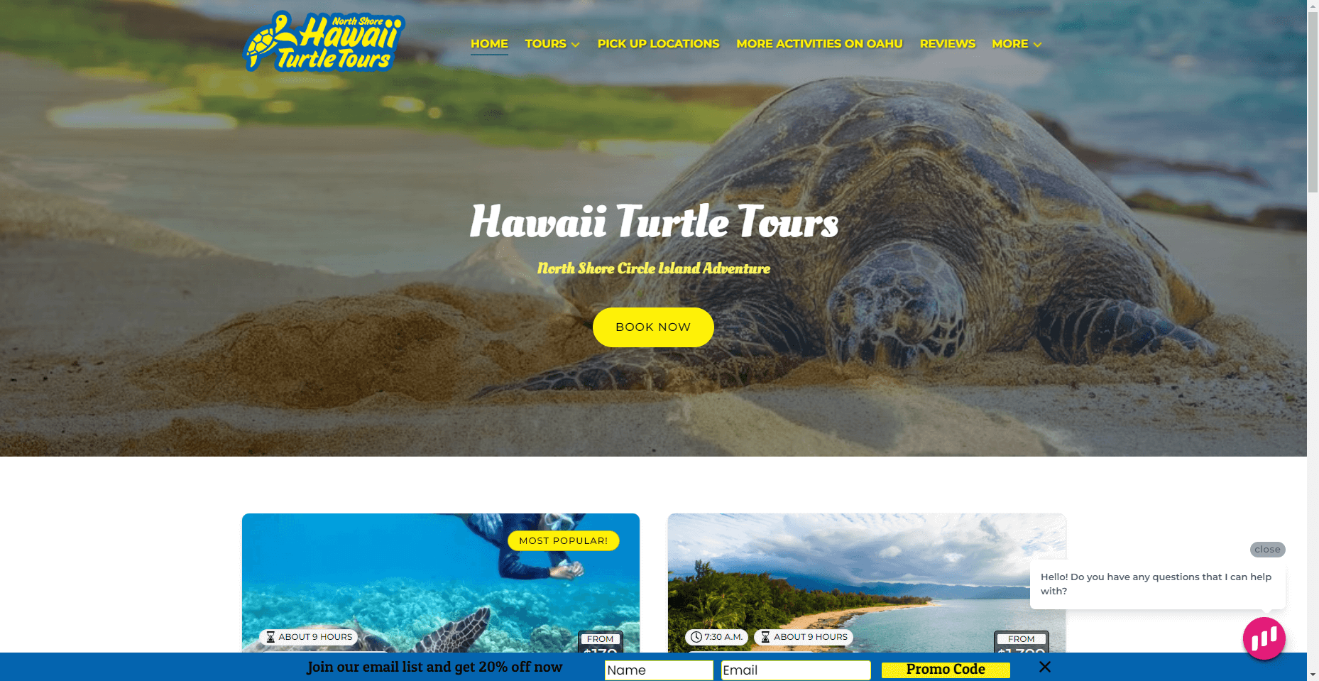 Hawaii Turtle Tours in Hawaiʻi