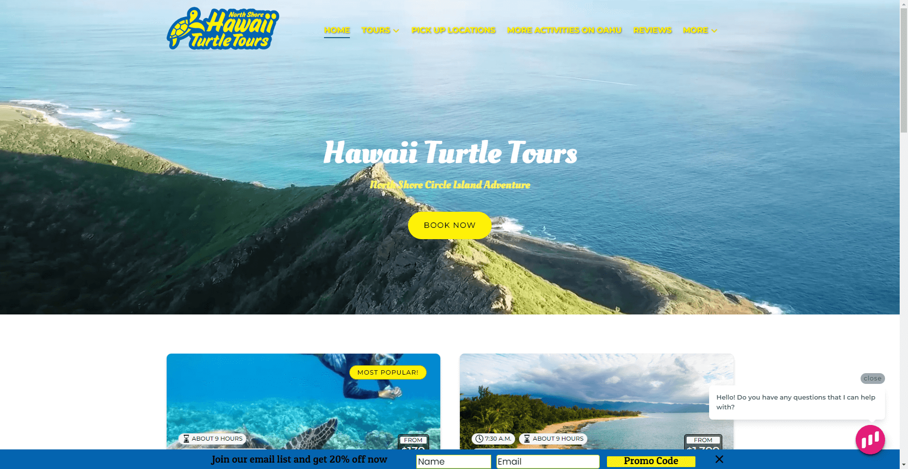 Hawaii Turtle Tours in Hawaiʻi