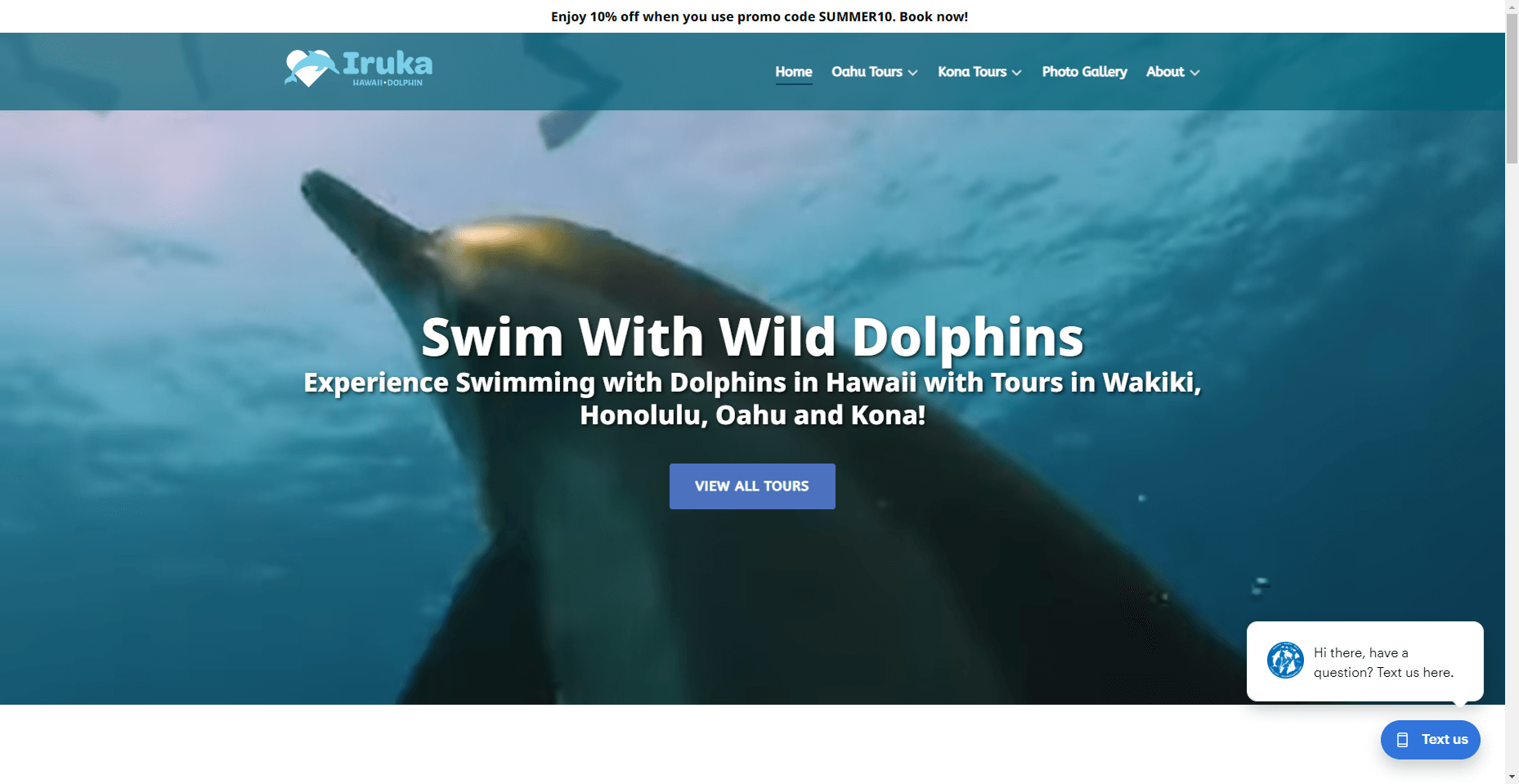 Iruka Hawaii Dolphin in Hawaiʻi
