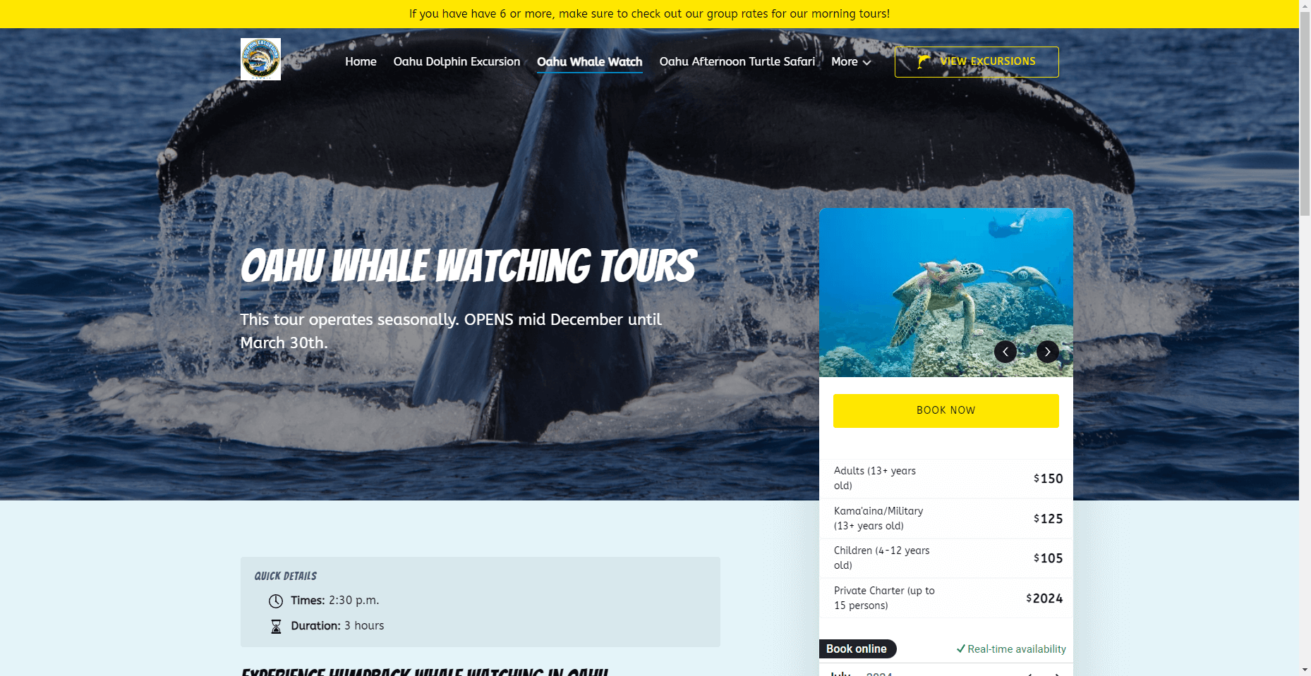 Dolphin Excursions in Hawaiʻi