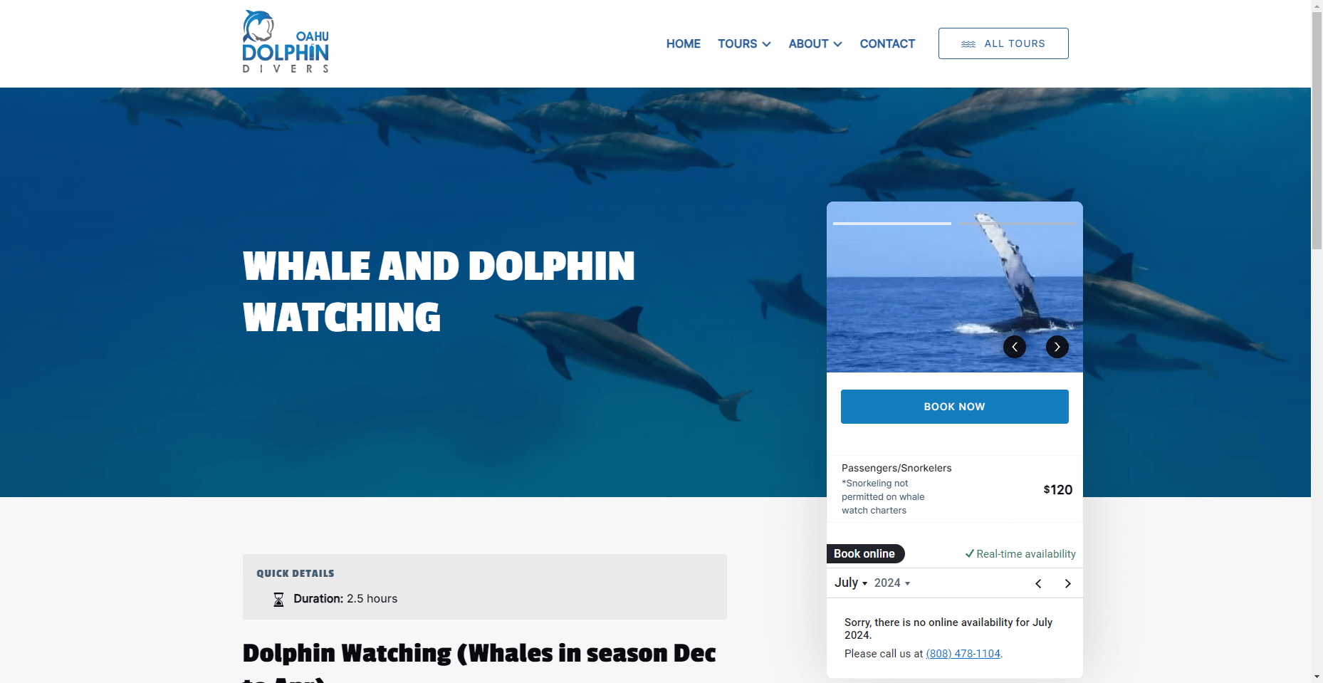 Dolphin Divers in Hawaiʻi