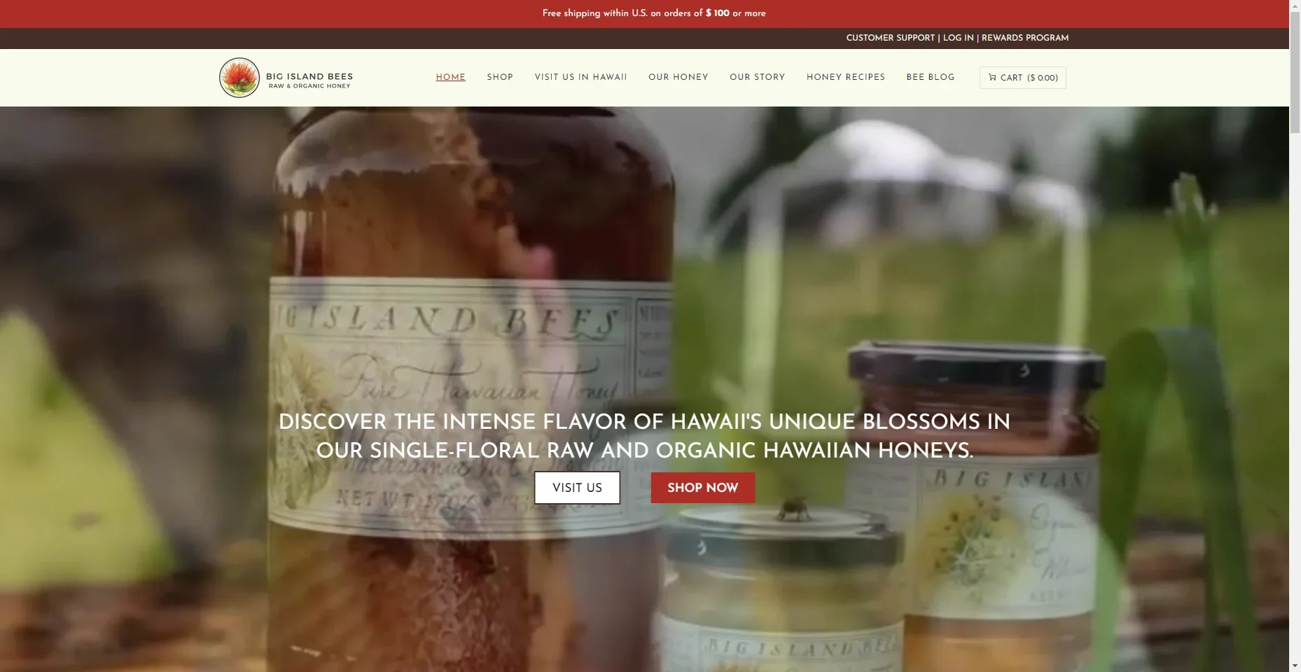 Big Island Bees in Hawaiʻi