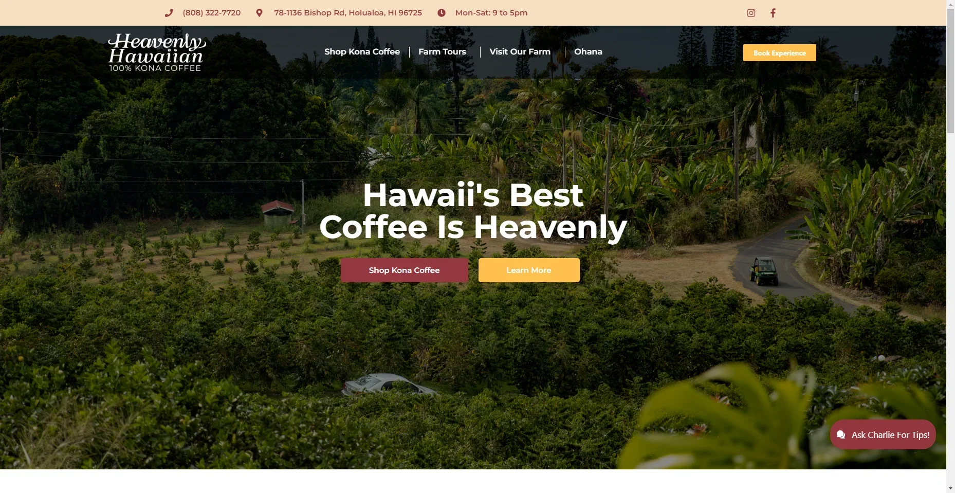 Heavenly Hawaiian Coffee Farm in Hawaiʻi