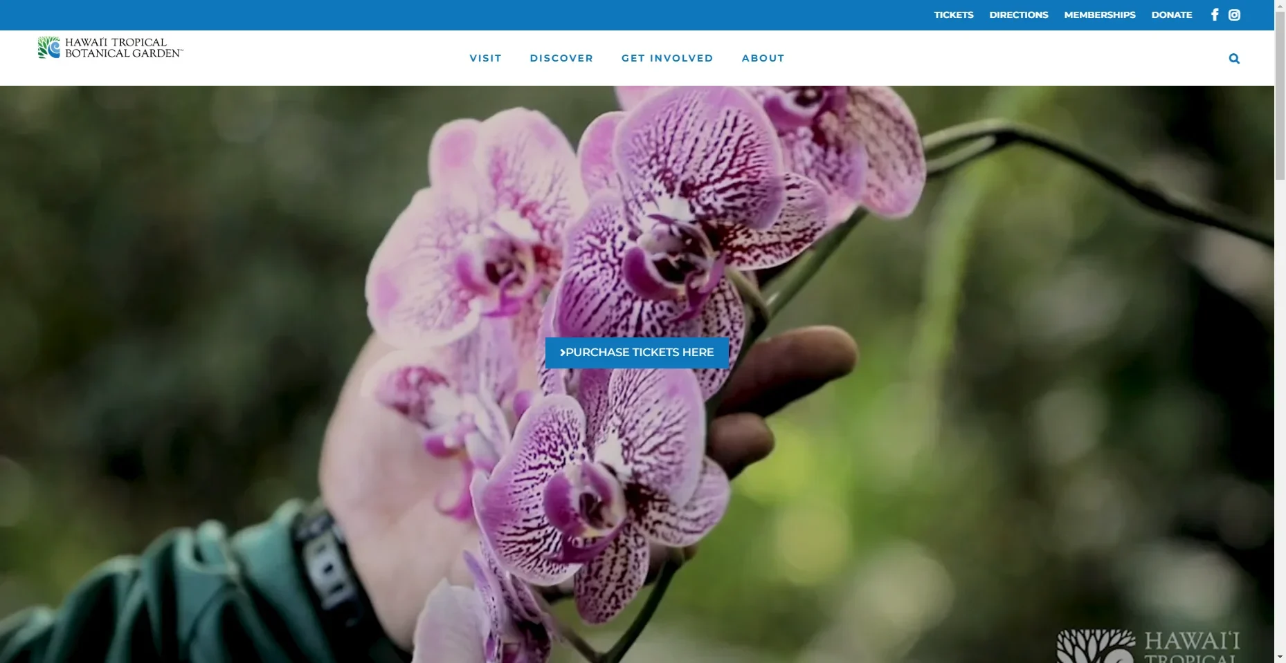 Hawaii Tropical Botanical Garden in Hawaiʻi
