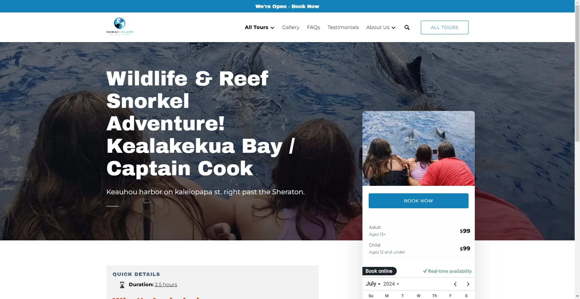 Hawaii Island Ocean Tours Snorkel and Dolphin View in Hawaiʻi